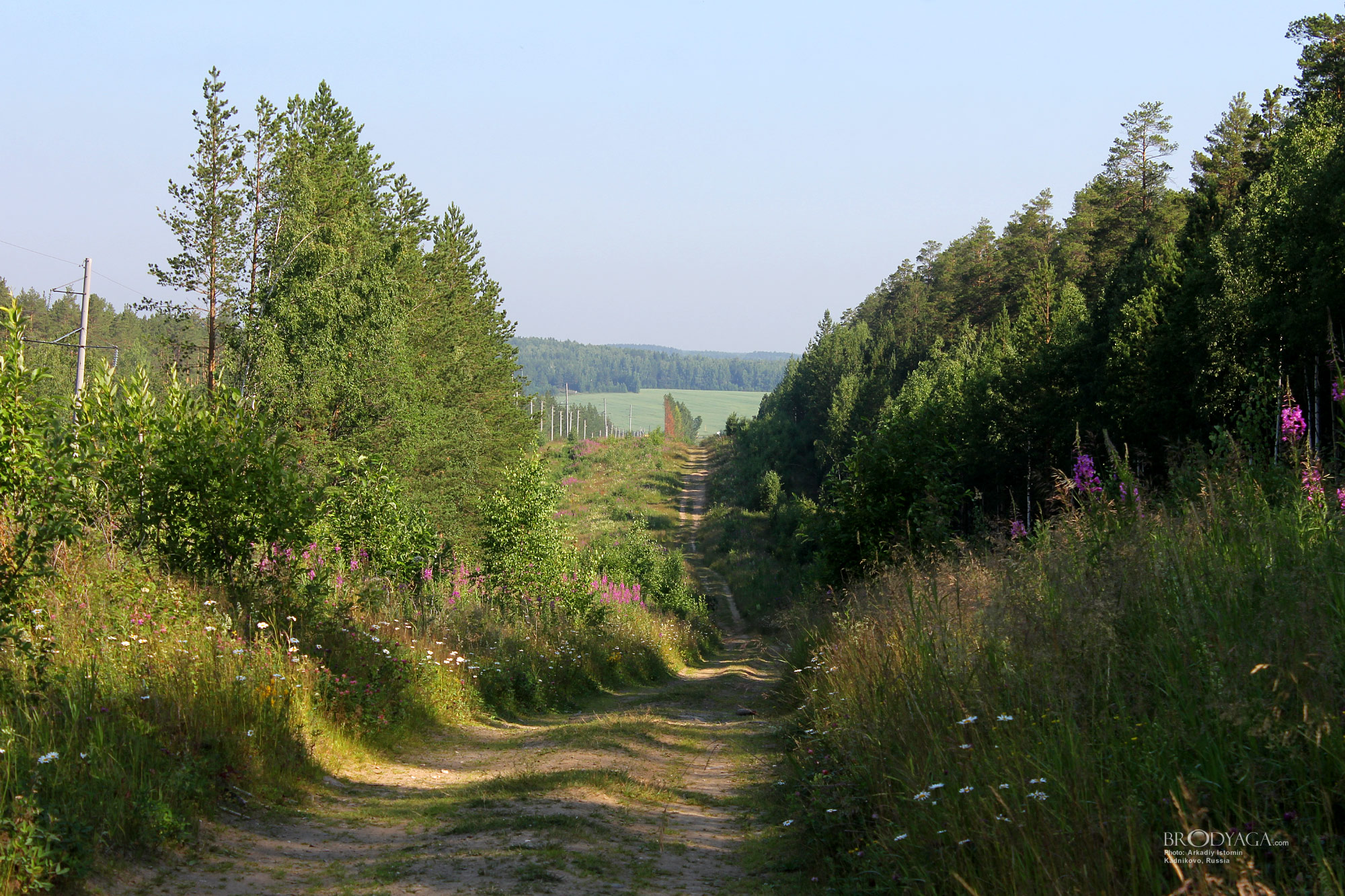 Kadnikovo (Кадниково)